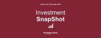 Investment Snapshot | November 2023