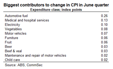 Biggest contributors to change in CPI in June quarter